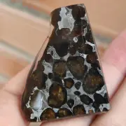 15.9G SERICHO pallasite Meteorite slice from Kenya