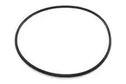 Davey Tagelus 380 Sand Filter Tank O Ring