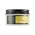 COSRX Advanced Snail 92 All In One Cream 100ml K-Beauty