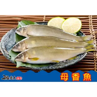 【母香魚】{船老大海物}台南 西濱 將軍漁港 海釣 冷凍生鮮 鮮魚 零嘴 澎湖 海鮮 一夜干 客製化 送禮 禮盒 特產