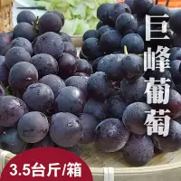 在飛比找台灣好農優惠-【山美葡萄】巨峰葡萄3.5台斤