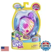M.F. Litlle Live Pets Turtle I Walk On Land I Swim in Water 1 Toy Turtle 1 In
