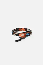Renee Pet Lead Small