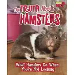 THE TRUTH ABOUT HAMSTERS: WHAT HAMSTERS DO WHEN YOU’RE NOT LOOKING