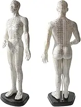 50cm Human Body Acupuncture Model, Male/Female Chinese Teaching Acupoint Mannequin Pressure Point Acupuncture Model with Base, for Student Teaching Demonstration (Male)