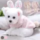 【QIDINA】寵物質感軟綿綿保暖法蘭絨可愛兔兔變身裝B款(2色)