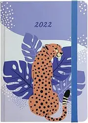 Letts of London 2022 Cheetah A6 Week to View Multilanguage Diary, Peach