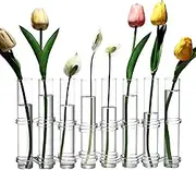 Dinyeo Hinged Flower Vase Small Glass Foldable Test Tube Vase Propagation Station for Plant.(8 Pcs)