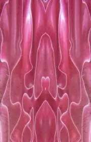 Luscious BTW70KS Acrylic Knife Scale 1/4" x 1 1/2" x 6"