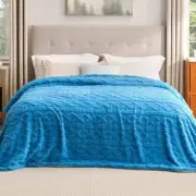 Sherpa Queen Size Blanket for Bed - Fuzzy Queen (90" x 90") 00 - Horizon Blue