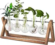 5 Bulb Vases, Propagation Station Home Creative Glass Crafts with Retro Solid Wood Brackets and Metal Rotating Rods,for Hydroponic Plants High End Furnishings Home Garden Wedding Decorations