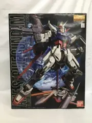 1/100 Mg Gat-X105 Yell Strike Gundam Mobile Suit Seed 0122242 Plastic Model 6558