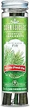 Scentsicles White Winter Fir Scented Christmas Tree Ornaments, 6 Sticks