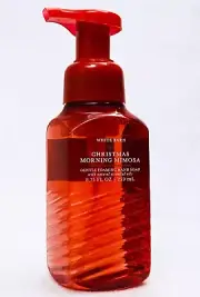 1 Bath Body Works CHRISTMAS MORNING MIMOSA Gentle Foaming Hand Soap Wash 8.75 oz