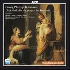 TELEMANN / WINTER / NORIN / KOBOW / ABELE / KLEINE - FOUR CANTATAS NEW CD