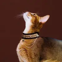 在飛比找ETMall東森購物網優惠-[兩短一長]原創寵物飾品埃及阿比貓項鏈流蘇高貴絲絨項圈生日禮