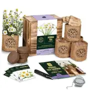 Indoor Herb Garden Seed Starter Kit - Herbal Tea Growing Herbal Tea Starter Kit