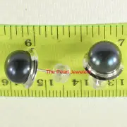 14kw AAA 9–9.5 mm High Luster Black-Blue Cultured Pearl Encircle Stud Earrings