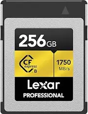 Lexar Professional CFexpress 256GB Type-B Card (LCFX10-256CRBNA)