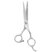 Stainless Steel Straight Scissors for Long Short Hard Soft Hair Silver Tone