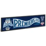 Geelong Cats 2022 AFL Premiers Mark Knight Bar Runner