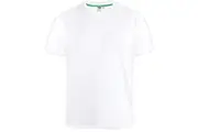 Duke Mens D555 Signature Cotton Kingsize T-Shirt (White) - UTDC144