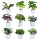 Green Foliage Fake Greenery Simulation Flowers Potted Artificial Plants Bonsai