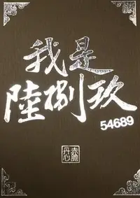 在飛比找Yahoo!奇摩拍賣優惠-大安殿實體店面 送牌套+美麗島風雲閃卡六張 我是陸捌玖 54