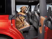 Genuine Ford Pet Harness Small 2 Chest & Neck 21-25" VM1PZ-78600E03-B