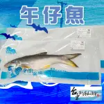 【新港農會】午仔魚300G-400GX2包