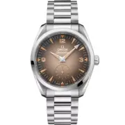 2025 Omega Seamaster Railmaster 38mm Brown Dial 235.10.38.20.13.001 Unworn