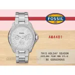 FOSSIL 時計屋 手錶專賣店 AM4481 女錶 石英錶 不鏽鋼錶帶 防水 礦物玻璃 全新 保固開發票