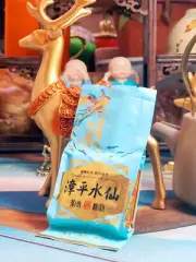 Frozen tea, spring tea Zhangping narcissus oolong tea gardenia flower fragrance