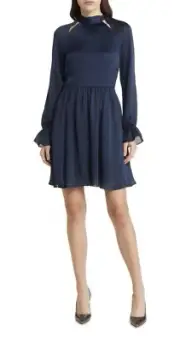 NWT Women’s Ted Baker London Ryaa Long Sleeve Georgette Minidres Size 2 ( US 6 )