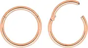 365 SLEEPERS 2PCS 16G Titanium Implant Grade 6mm - 16mm Hinged Hoop Segment Lip Nose Ring Helix Tragus Septum Unisex Sleeper Earrings