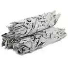 SMUDGE STICK - White Sage 9cm