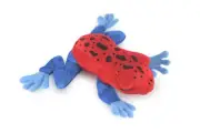 Strawberry Poison Dart Frog Plush Frog, Stuffed Frog Toy, Gift, 7" FT18 B149