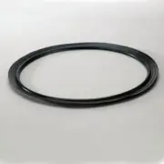 DONALDSON P160215 HYDRAULIC SEAL.