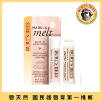 在飛比找PChome24h購物優惠-Burt’s Bees 奶油雪糕護唇棒4.25g