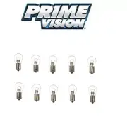 PRIME VISION MINI BULB BOX OF 10PC Part # PRIM7506