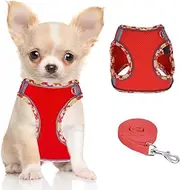 DoggieKit Dog Harness for Small Medium Dogs No Pull Adjustable Step in Puppy Harness and Leash Set,Reflective Breathable Mesh Pet Harnesses Soft Padded Vest for Dogs Easy to Put on…
