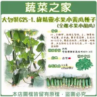 在飛比找蝦皮購物優惠-【蔬菜之家滿額免運】大包裝G25-1.綠精靈水果小黃瓜種子1