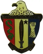 USA Special Forces Hat Pin (PIN-4299)