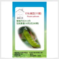 在飛比找momo購物網優惠-【蔬菜工坊】E18.豌豆11號種子.荷蘭豆(50克-約280