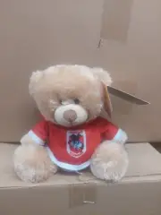 NRL St George Illawarra Dragons Plush Teddy Bear with Hooded Jersey - Baby