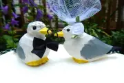 Seagull Wedding Cake Topper Love Birds Albatross Bride Groom Engagement