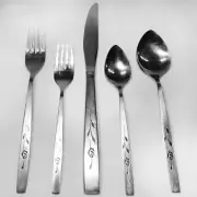 CAPISTRANO by Oneida Deluxe 5 Piece Place Setting NEW NEVER USED made in USA