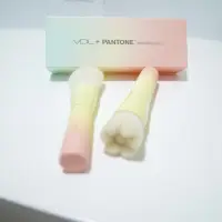 在飛比找蝦皮購物優惠-VDL x Pantone 迷你刷具組