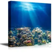 wall26 - Coral Reef Under the Ocean |Modern Home Decor Canvas Prints-24" x 24"