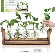 Renmxj Plant Propagation Station, Propagation Vases for Plants, Unique Gardening Birthday Gifts for Women Plant Lovers Mom Best Friend - 5 Bulb Glass Vases